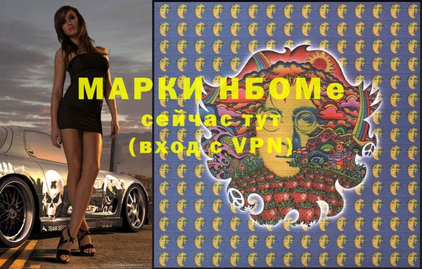 стафф Дмитров