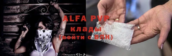 стафф Дмитров