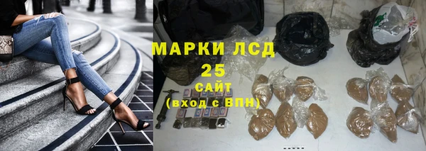 стафф Дмитров
